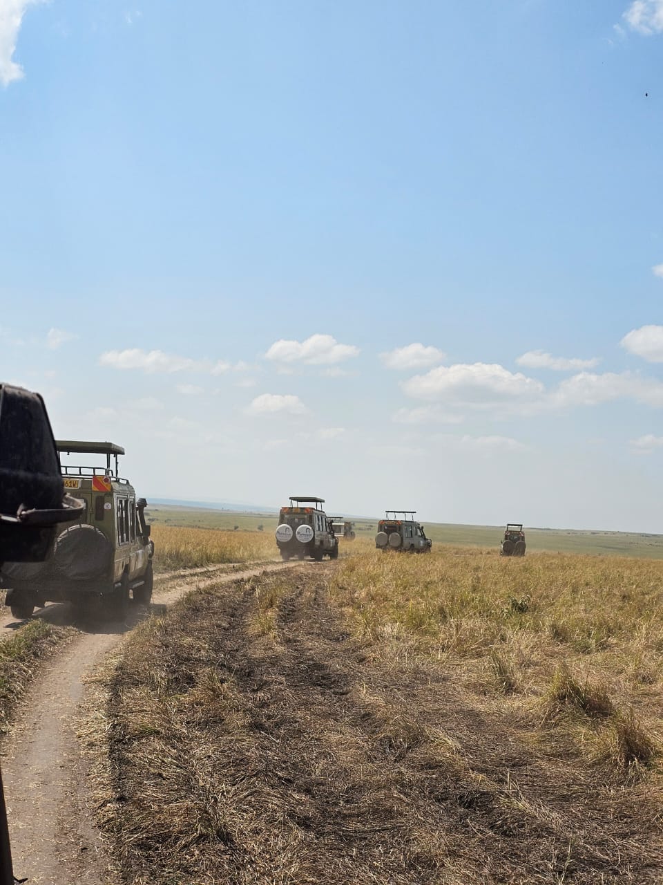 Our safari convoy